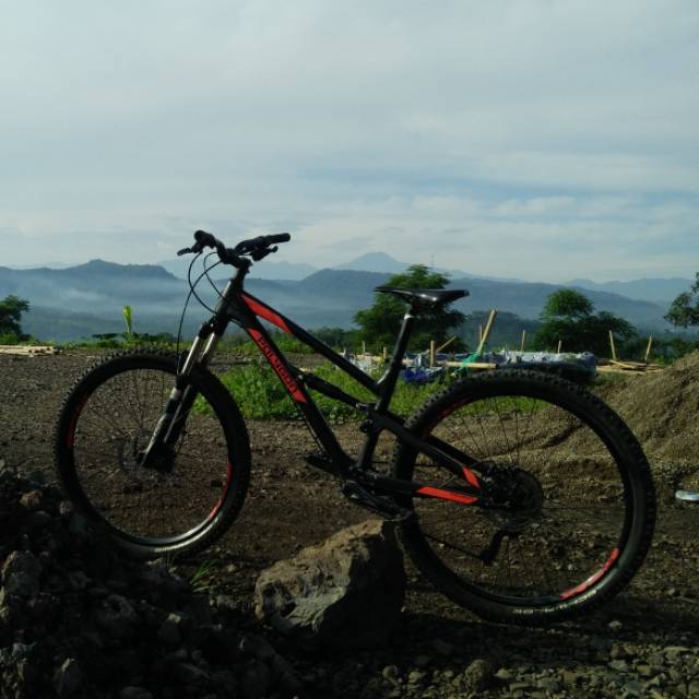 agan1285