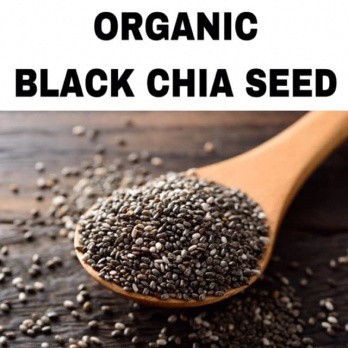 Organik Chia Seed Mexico Organic 100gr