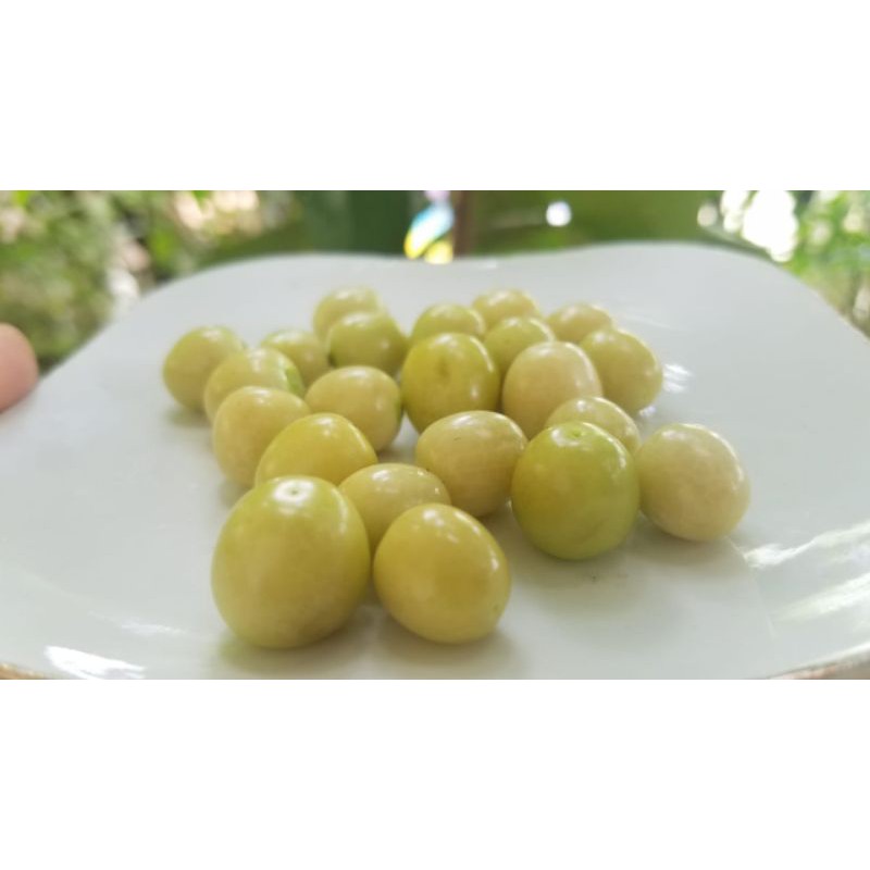 

Buah Ciplukan 500gr