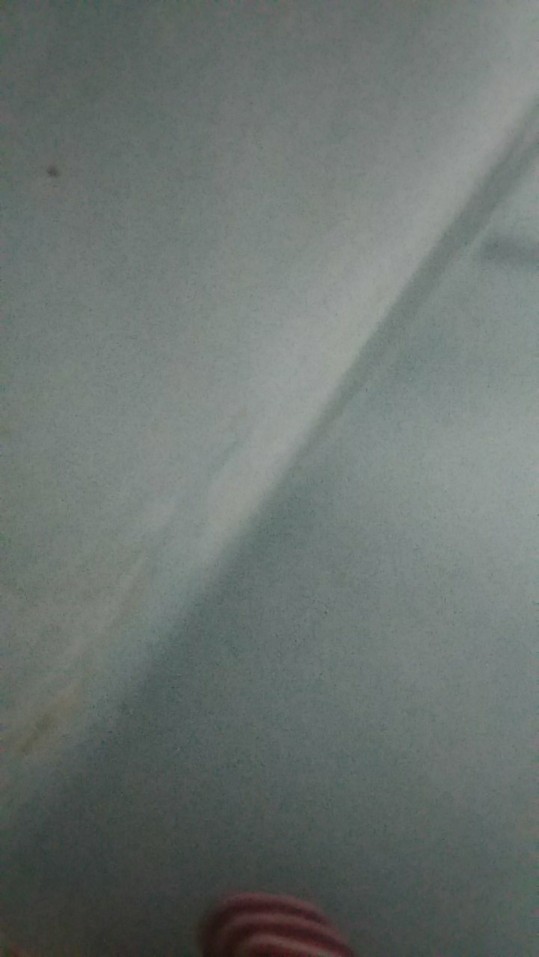 Cat Tembok Aries (4.5 Kg)