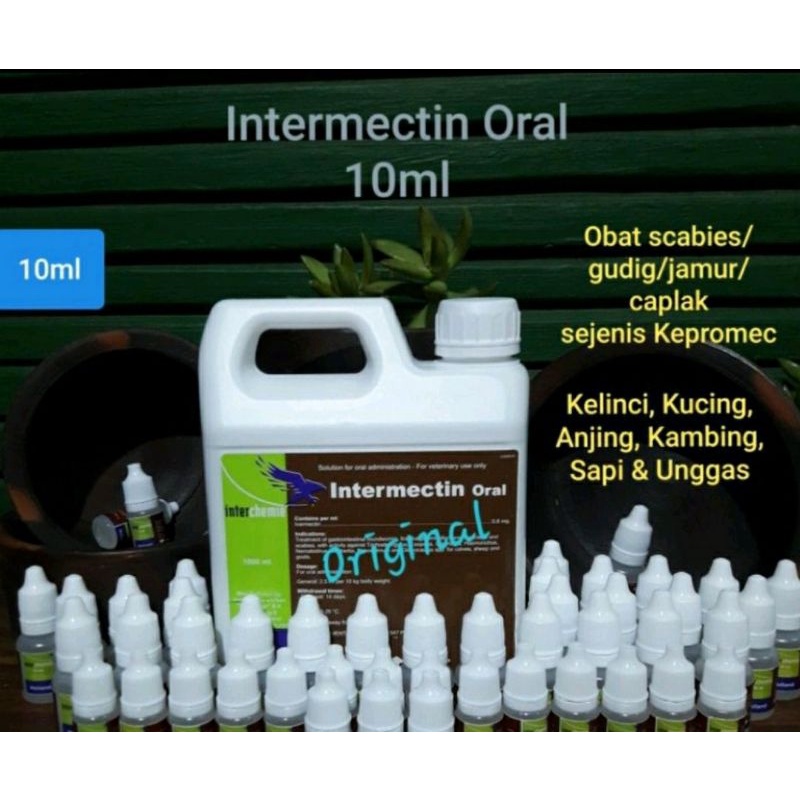 Intermectin Oral 10 Ml Obat Kutu Gudik Cacing Scabies Kucing Anjing Kelinci