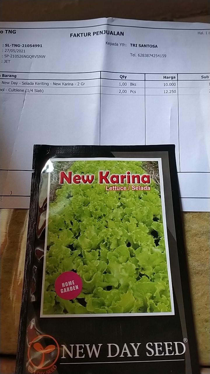 Benih New Day Seed Selada Karina
