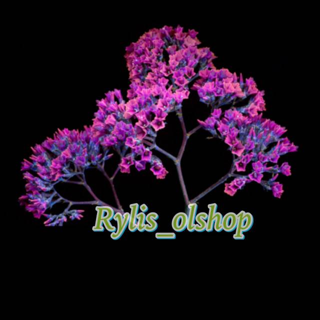 rylis_shop