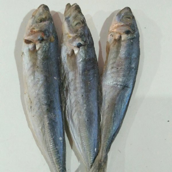 

Peda layang / 100g