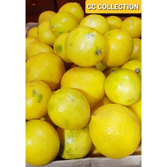 

LEMON CALIFORNIA BANDUNG 1KG// BUAH SEGAR // LOCAL