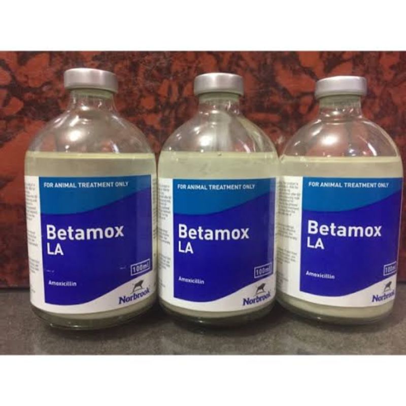 Obat Hewan Betamox LA 100ml inj