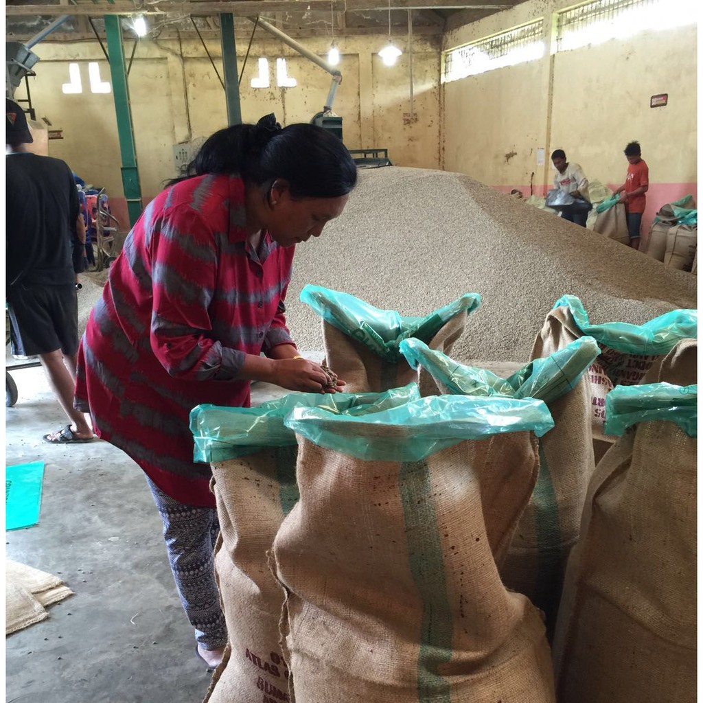 

Winey Natural Gayo Coffee