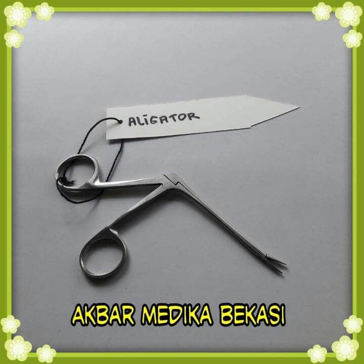 

Gunting Aligator Gunting Alligator Keren