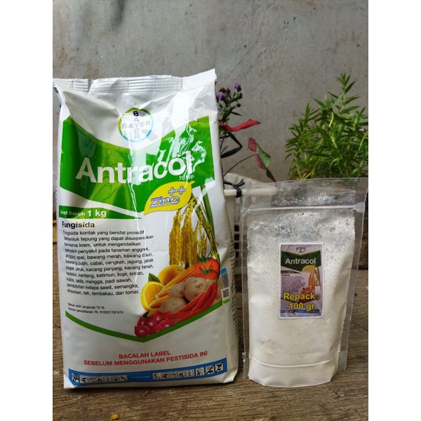 Antracol 70 WP (fungisida) repack 100gram