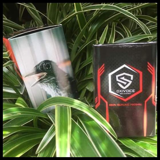 Oxivoice Oxi Voice Obat Serak Burung