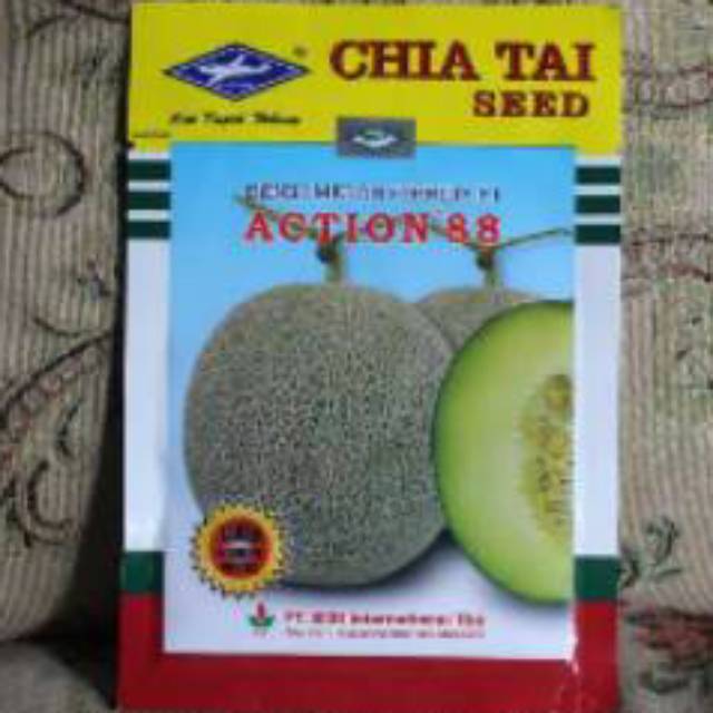 benih melon ACTION 88  -+500butir dari CHIA TAI SEED