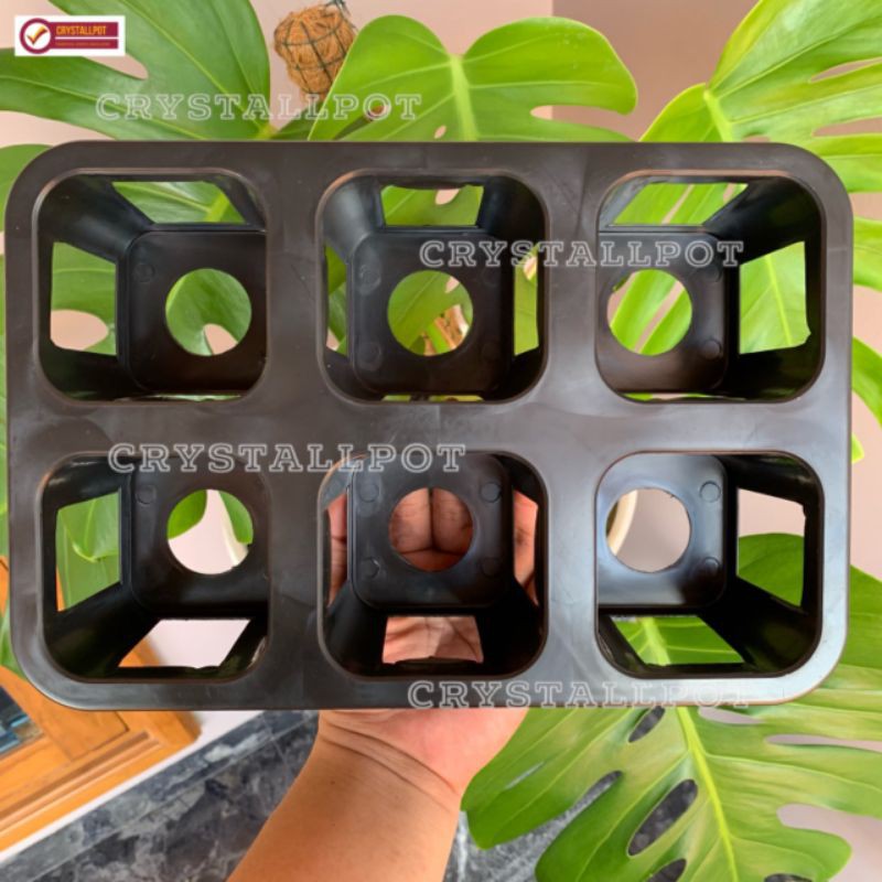 Tray pot nkt kotak 8cm (tanpa pot) | nkt kotak 8cm | tray semai bibit