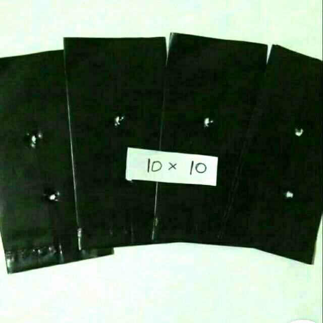 Polybag ukuran 10x10 cm 1 kg