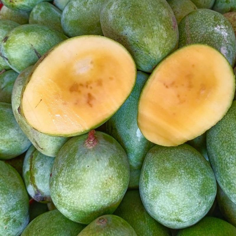 

1KG MANGGA MANALAGI MADU