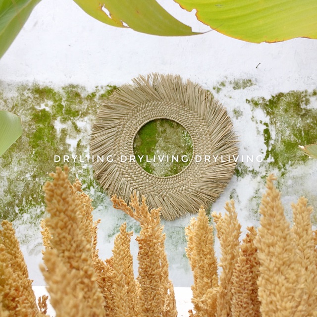 WALLDECOR MENDONG  BULAT NATURAL