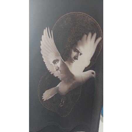 long sleve piere balmain