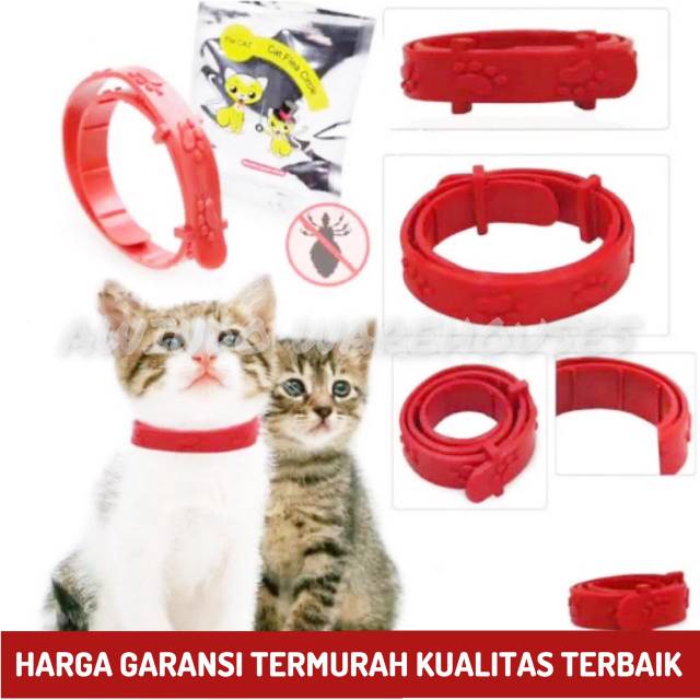 [TERMURAH] KALUNG ANTI KUTU KUCING - Kalung Obat Anti Kutu Kucing Kelinci Anjing Musang Flea Tick