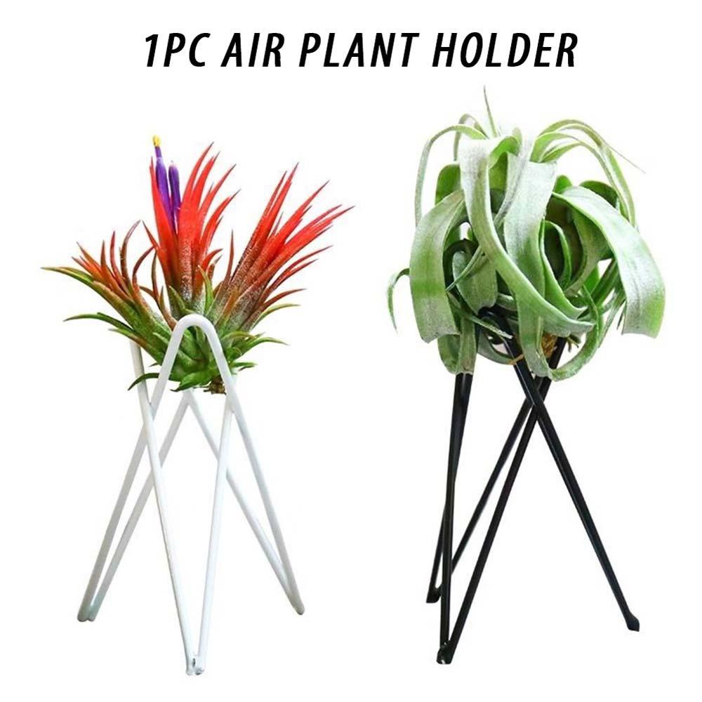 REBUY Air Plant Holder Iron Nordic Style Tabletop Ornament Rak Taman Pot Bunga Berdiri Tillandsia Stand