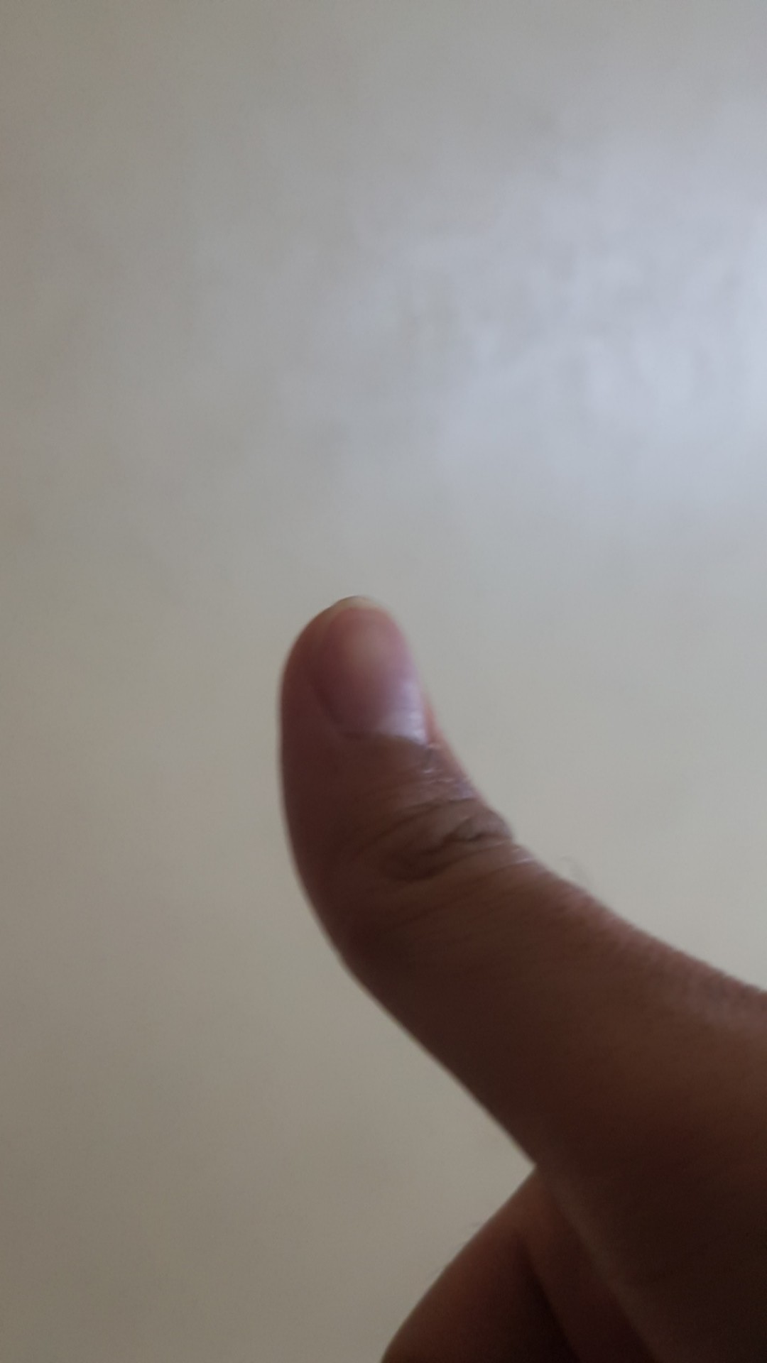 Baju Batik Pria Slimfit Hight Quality Premium Ob 65