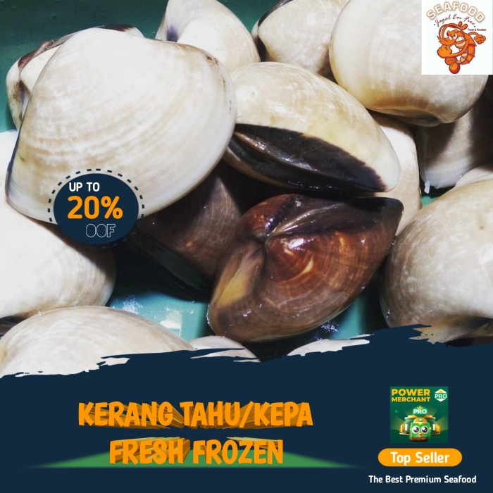 

Kerang Tahu/Kepa Segar 1kg