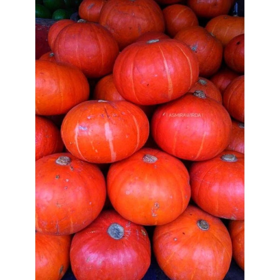 

KABOCHA MERAH 1KG