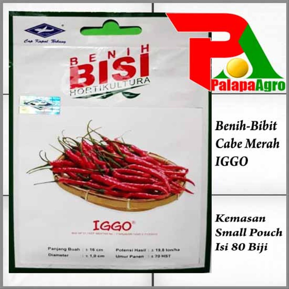 Benih Cabai Merah Keriting IGGO-Bibit Cabe Merah Murah