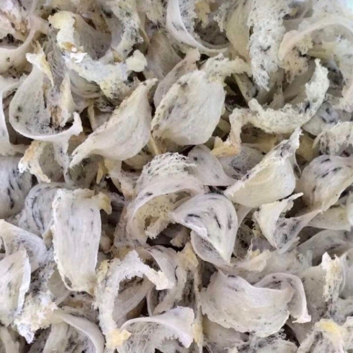 stefhanieemaknyaabel