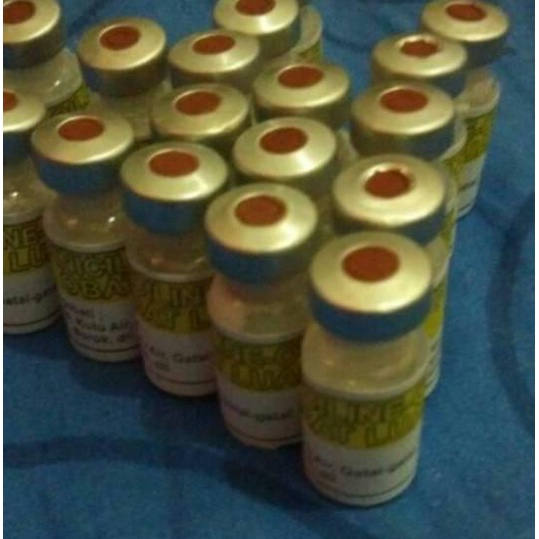 11.11|R-1278||Piniciline oile - Pinisilin - Pinisilin Obat Luar Anti Bakteri