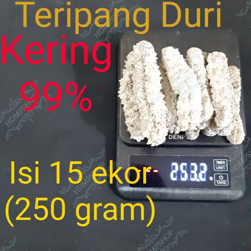 

Teripang - Haisom Duri Kering 99% - Super 250Gram