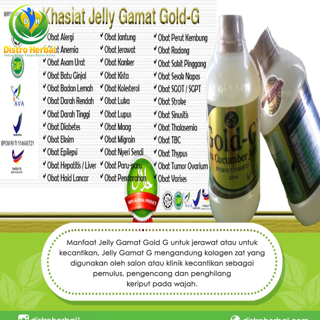 Jelly Gamat Gold G 320 Ml Jogja Khasiat Jelly Gamat Gold G Indonesia