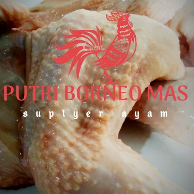 

Karkas ayam PUTRI BORNEO MAS