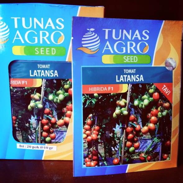 LANGSUNG ATC.. Benih Tomat Latansa F1 - Bibit Tanaman Unggul Sayur Tomat Hibrida - Biji Tomat Bekual