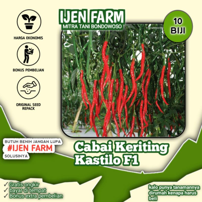 10 Biji - Benih Cabe Keriting Cabai Kastilo F1 Tahan Penyakit