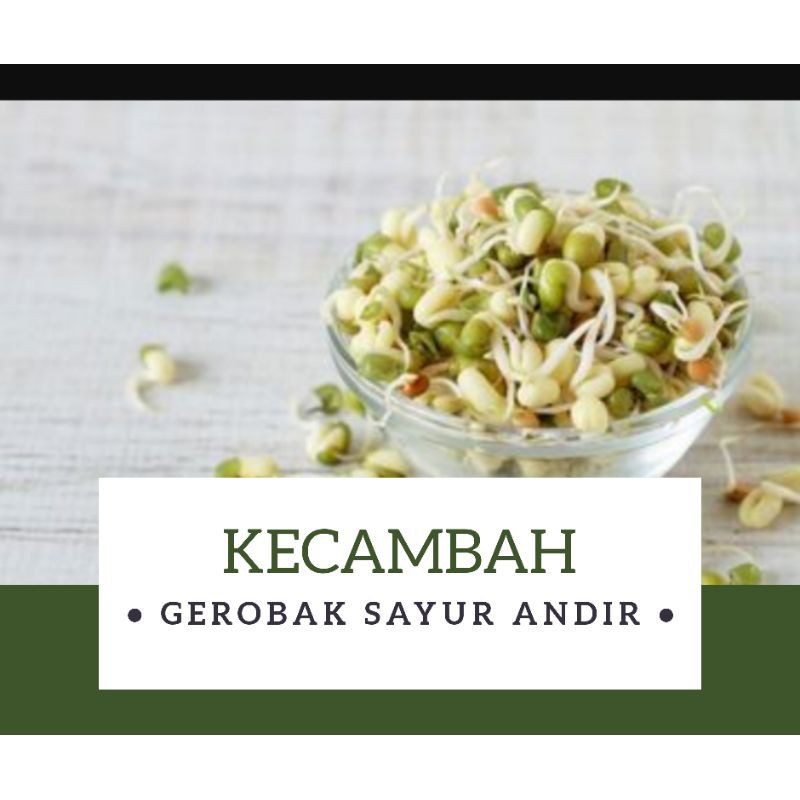 

Kecambah Rawon /250gr