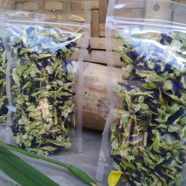 

Bunga Telang
