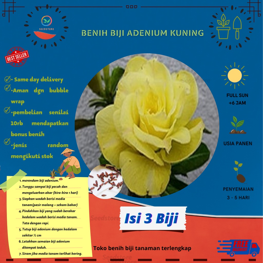 3 Biji Benih Adenium/kamboja jepang