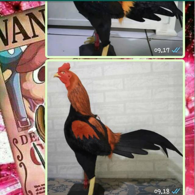 Boneka ayam untuk untulan