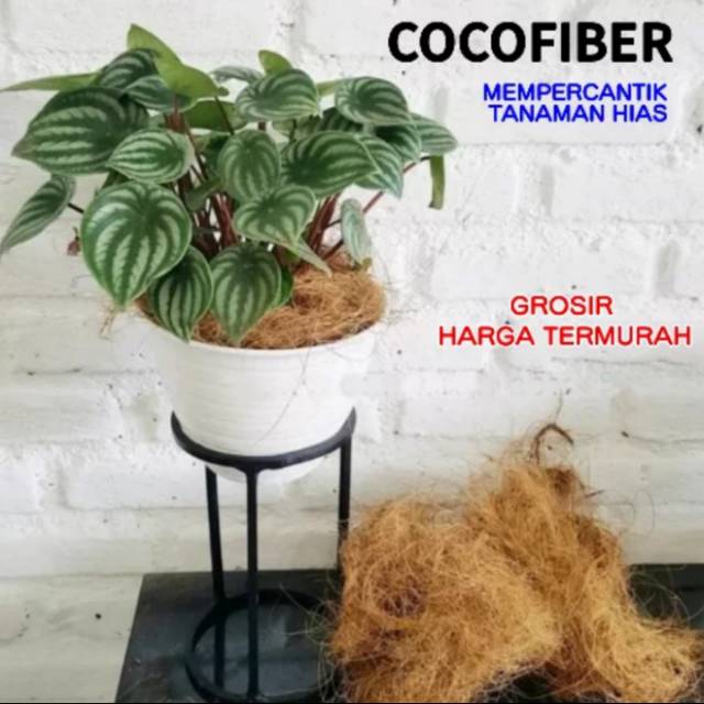 Serat kerabut kelapa coco fiber, Coco fiber untuk tanaman hias