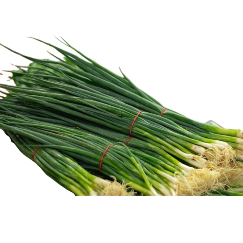 

daun bawang cung 100gr