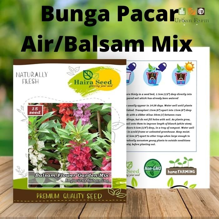 Benih-Bibit Bunga Pacar Air/Balsam Mix