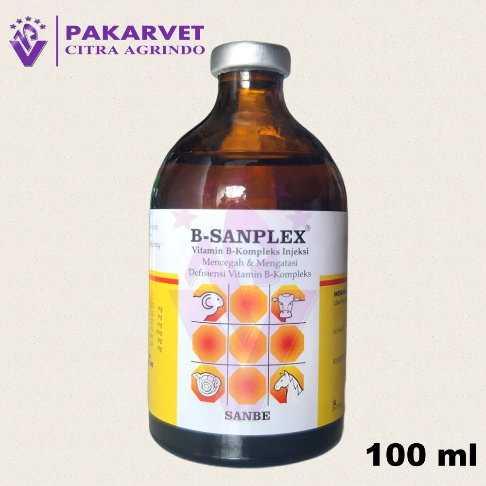 Jual B SANPLEX Inj Vitamin B Kompleks 100ml Sanbe Indonesia|Shopee ...