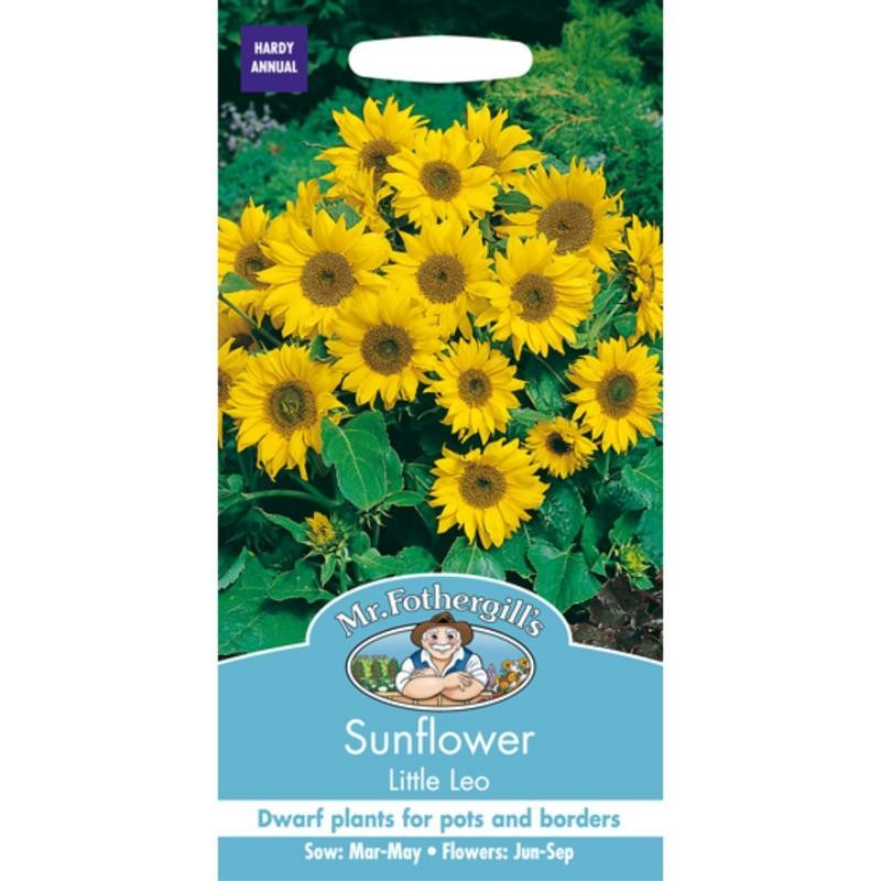 Benih Mr. F SUNFLOWER Little Leo