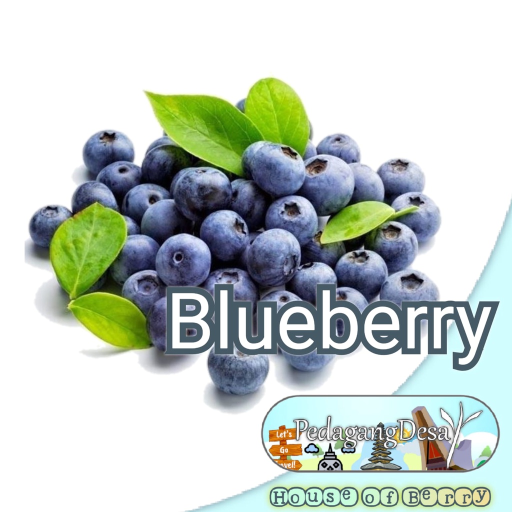 Jual Blueberry Blackberry Raspberry Cranberry Blackcurrant | Benih ...