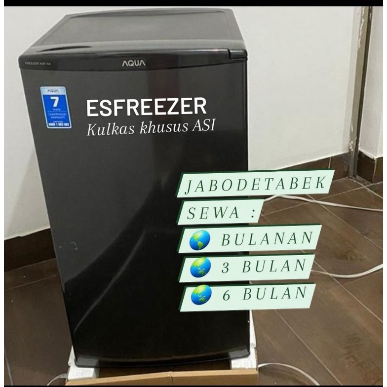 sewa kulkas ASI 3 bulan 4 Rak