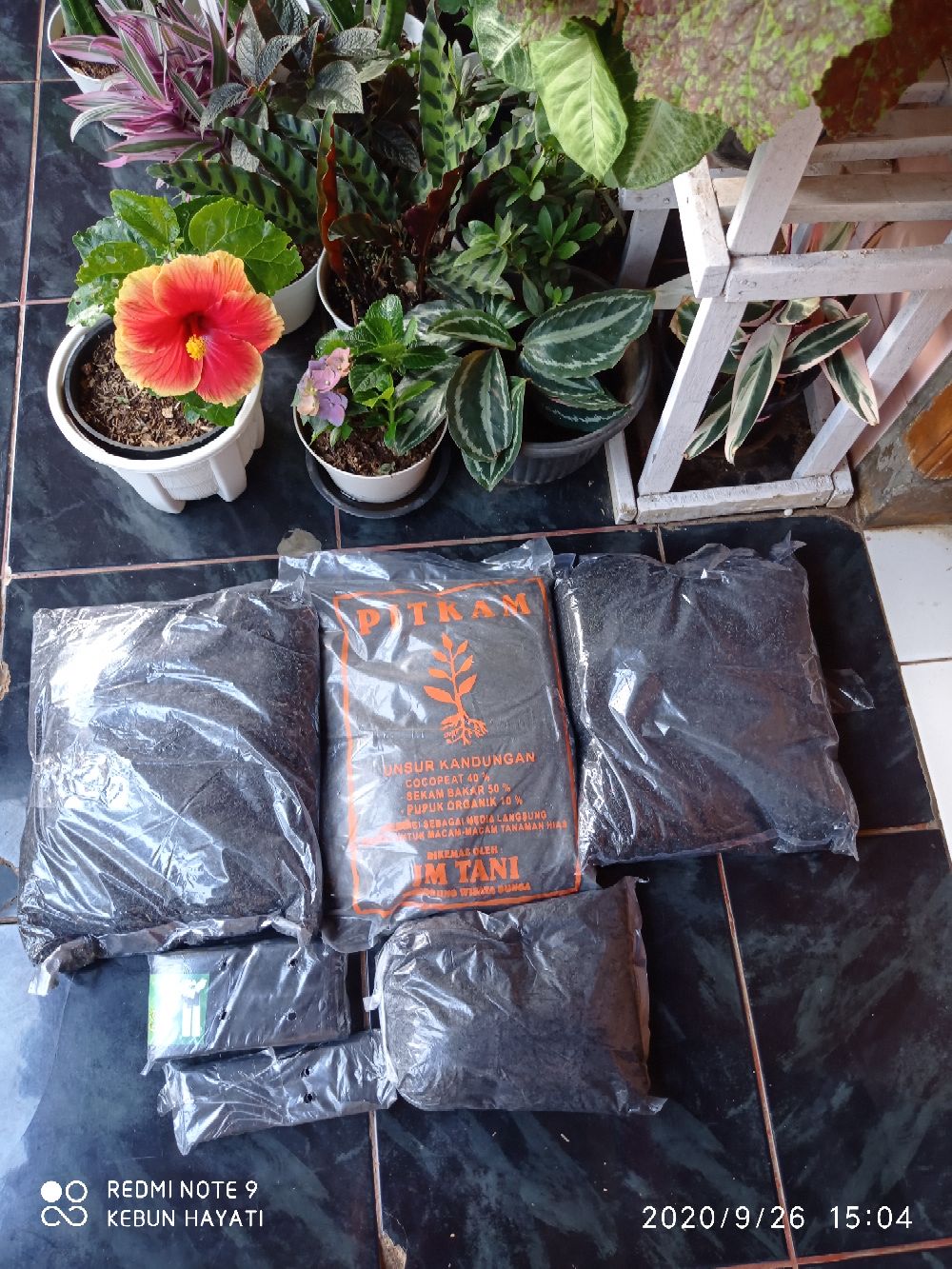 Tanah Plus Kompos Media Tanam Kemasan 1Kg | Shopee Indonesia