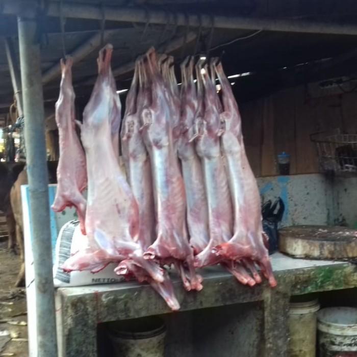 

Meat | Kambing Muda Karkas