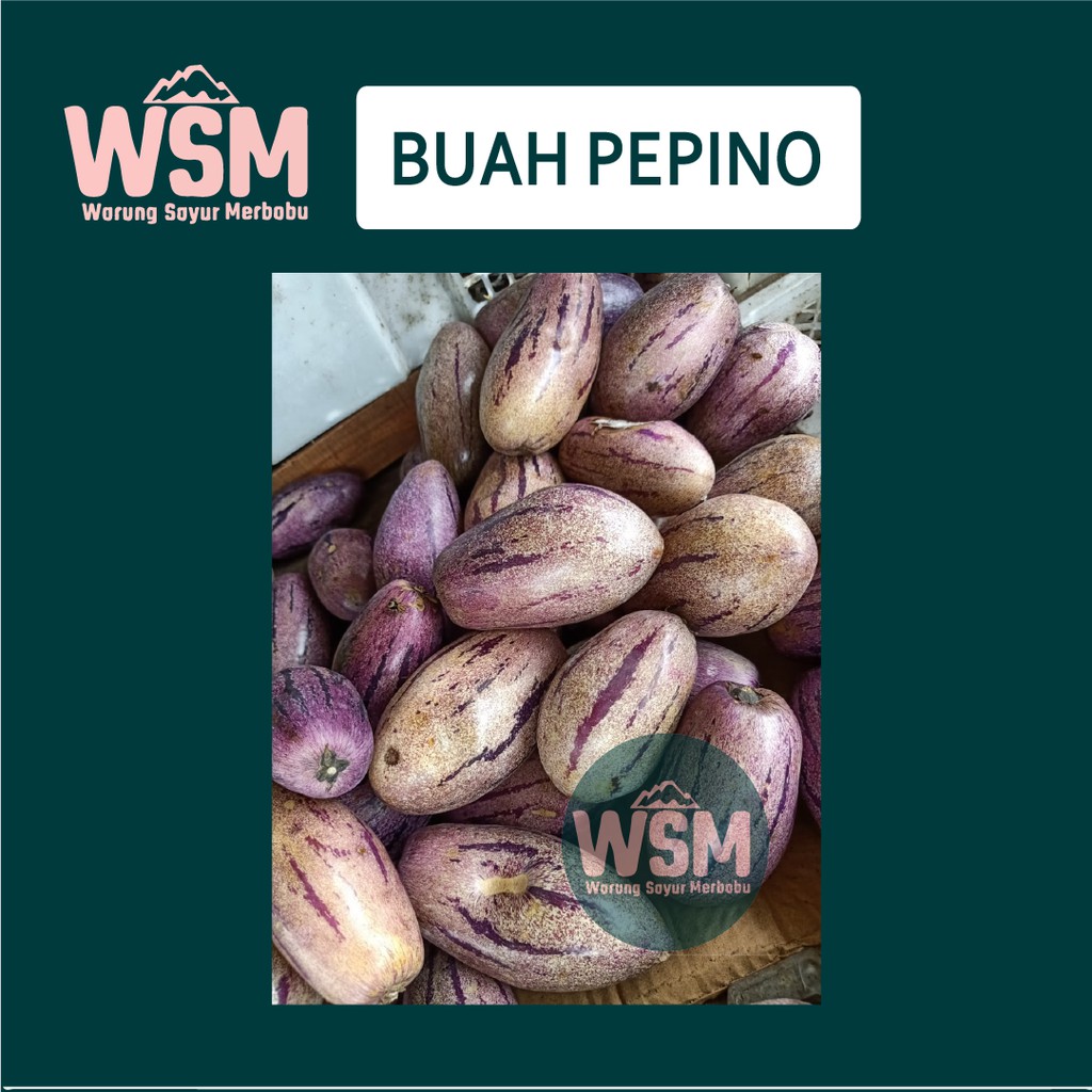 

Buah Pepino | Sehat Segar Berkualitas