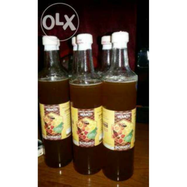 

Madu asli borneo