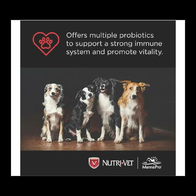 probiotics for dogs with parvo