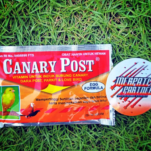 Canary post untuk merangsang pertumbuhan telur